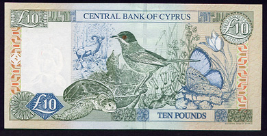 Cyprus Money - Back