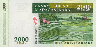 Madagascar Money - Back