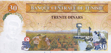 Tunisia Money - Back