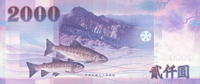 Taiwan Money - Back