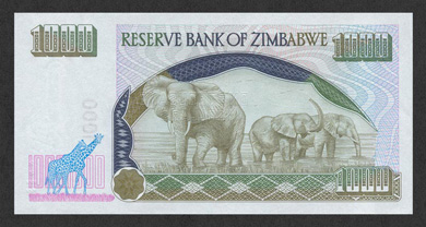 Zimbabwe Money - Back