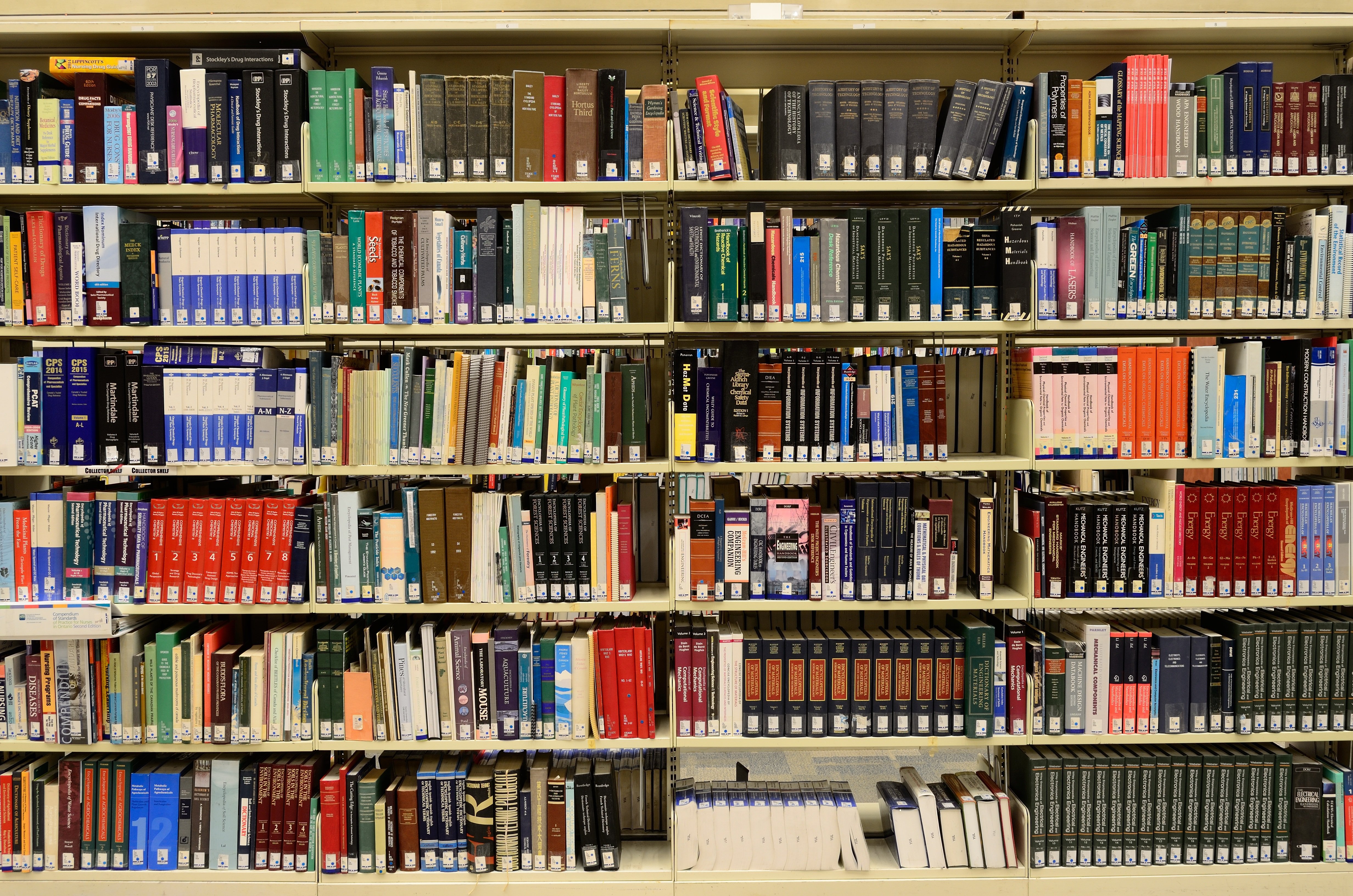11 Reasons Librarians Value CountryReports for Reference, Research, and Diverse Communities