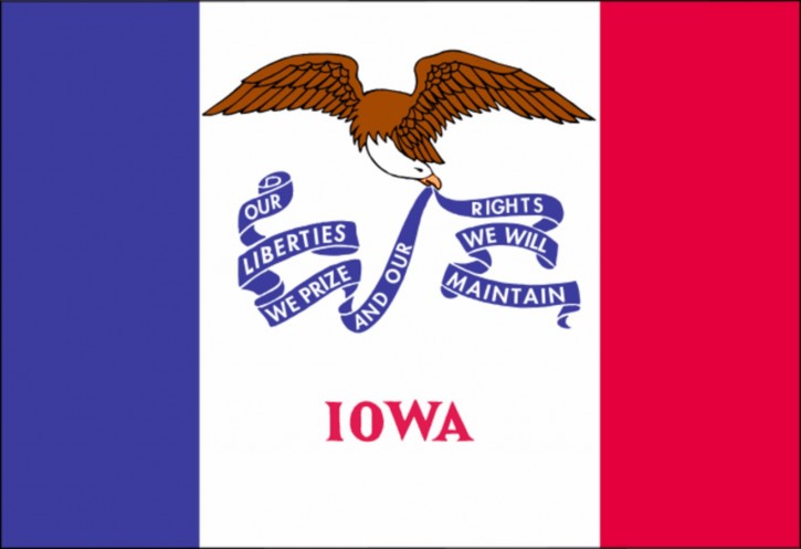 Iowa state flag