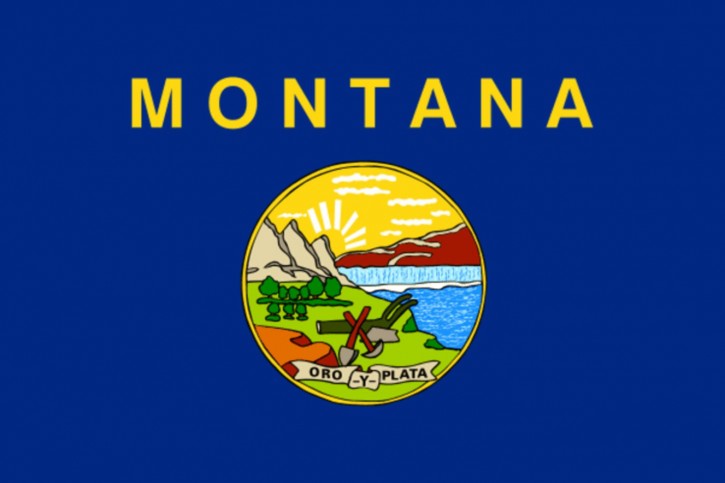 Montana state flag
