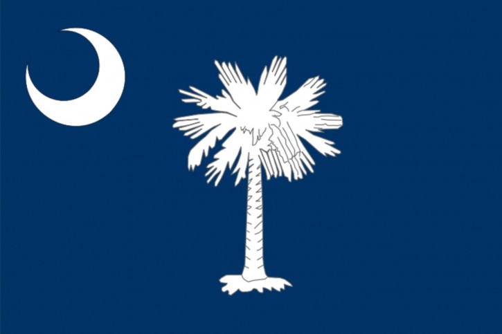 South Carolina state flag