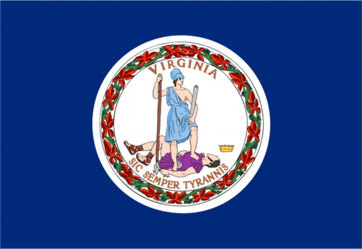 Virginia state flag