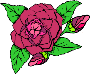 Camellia, state flower of Alabama