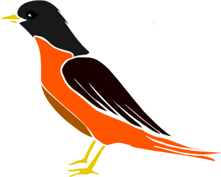 American Robin — Connecticut state bird