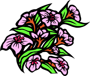 Peach Blossom — Delaware state flower