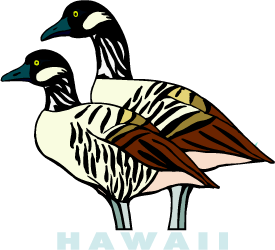 Nene — Hawaii state bird