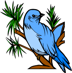 Mountain Bluebird — Idaho state bird
