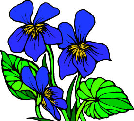 Violet — Illinois state flower