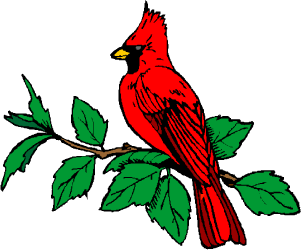 Northern Cardinal — Indiana state bird