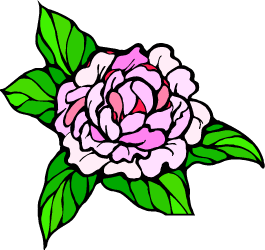 Peony — Indiana state flower