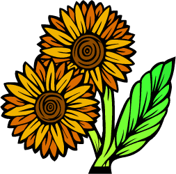Wild Native Sunflower — Kansas state flower