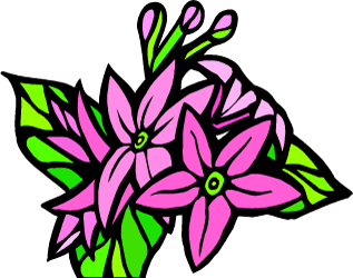 Mayflower — Massachusetts state flower