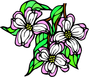 Flowering Dogwood — North Carolina state flower