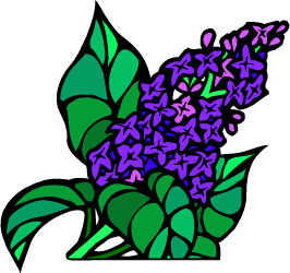 Purple Lilac — New Hampshire state flower