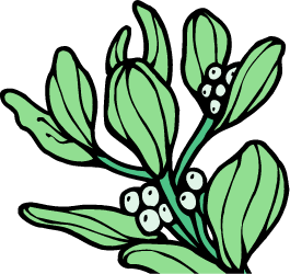Oklahoma Rose — Oklahoma state flower