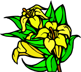 Yellow Jessamine — South Carolina state flower