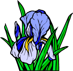 Iris — Tennessee state flower