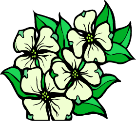 American Dogwood — Virginia state flower