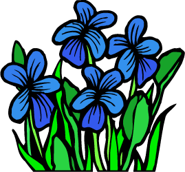 Wood Violet — Wisconsin state flower