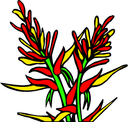 Indian Paintbrush — Wyoming state flower